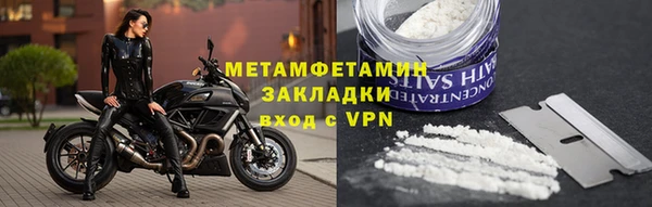 ГАЛЛЮЦИНОГЕННЫЕ ГРИБЫ Новозыбков