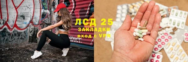 ешки Новодвинск